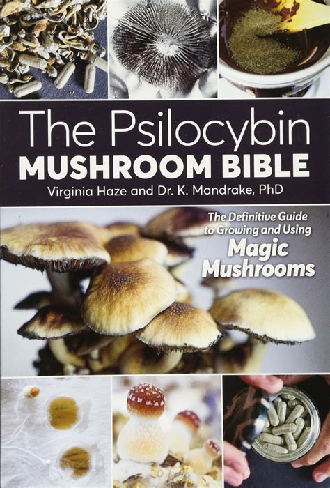 The spell of mushrooms book